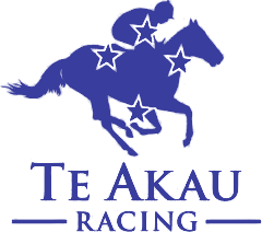 Te Akau Racing